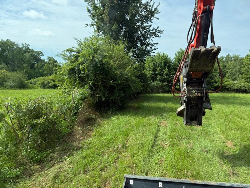 Land Clearing