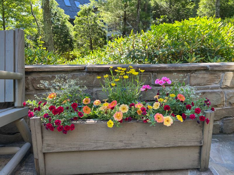 Container Gardening