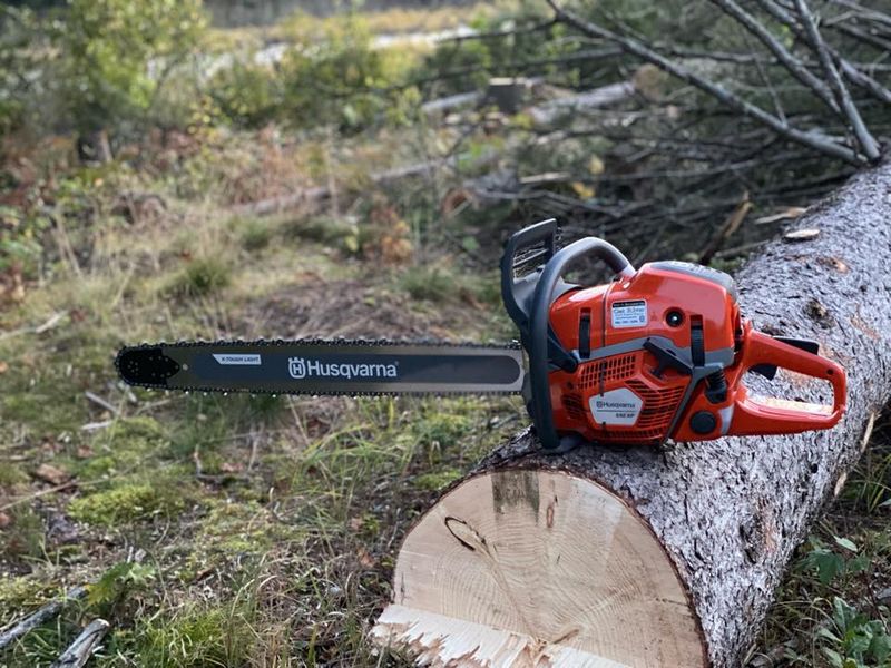 Tree Removal