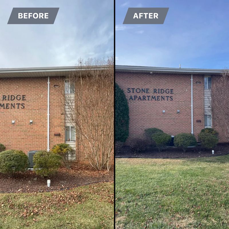 Shrub Trimming
