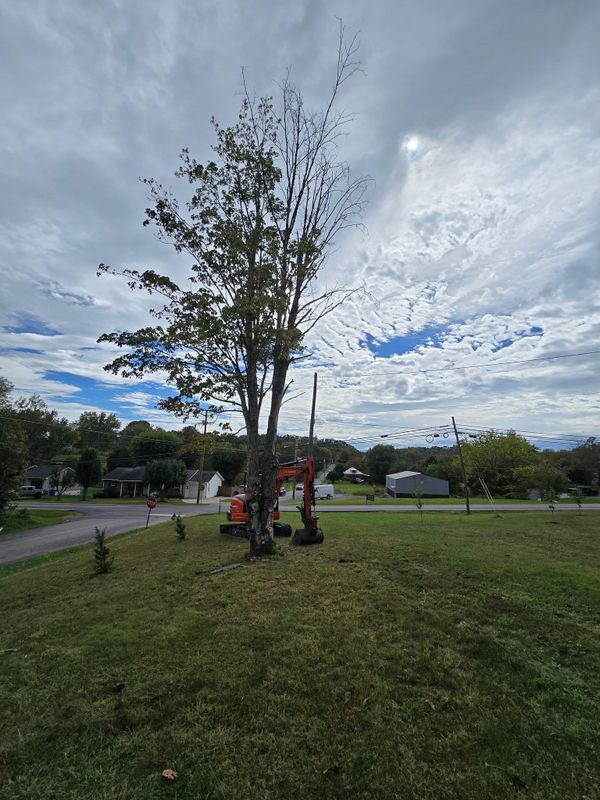 24/7 storm cleanup