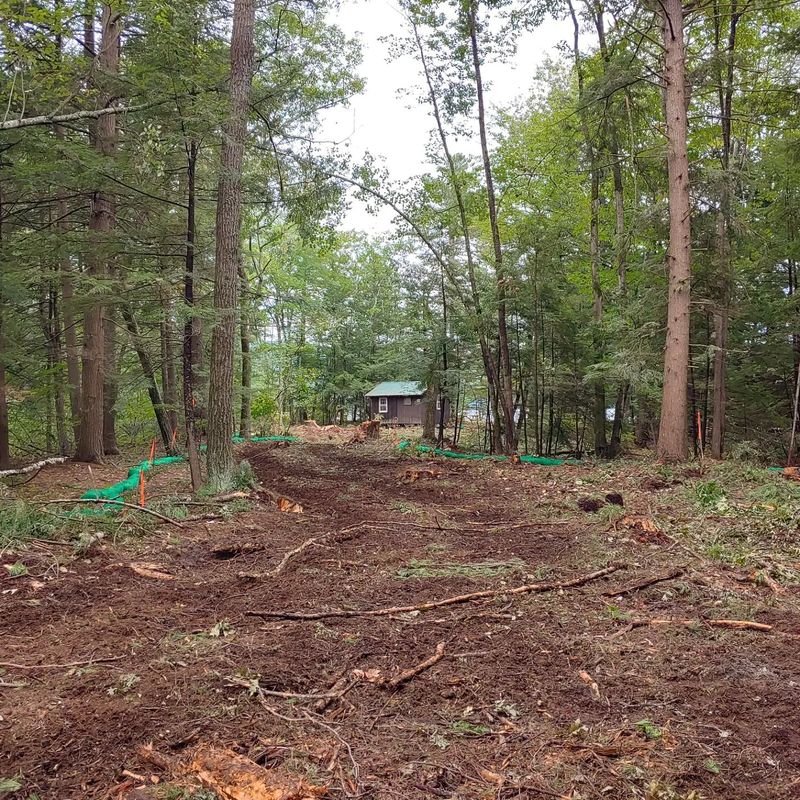 Commercial Land Clearing