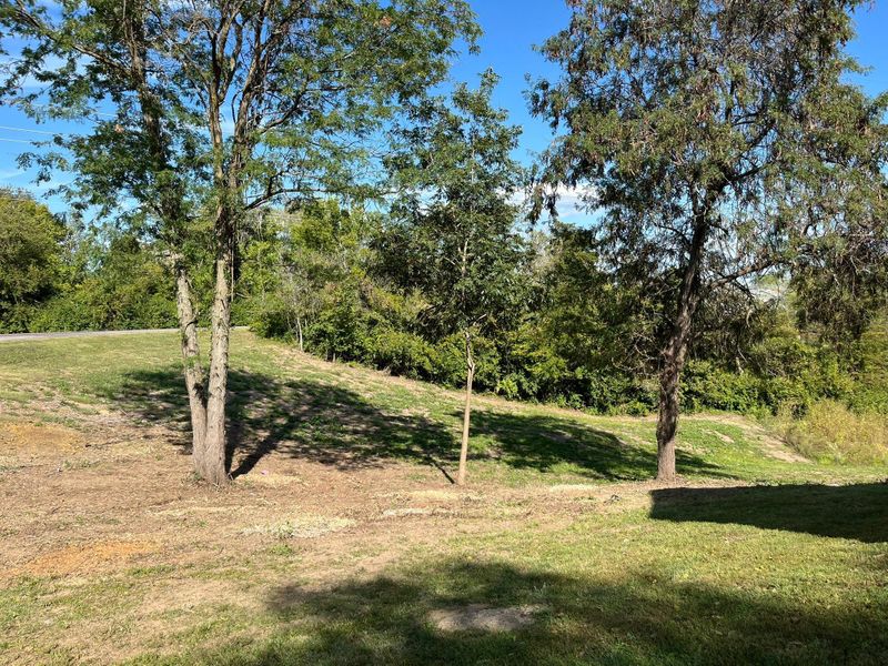 Land Clearing