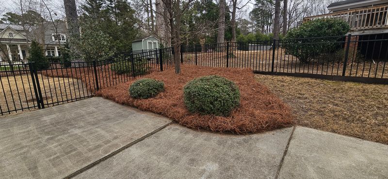 Outdoor Space Transformation
