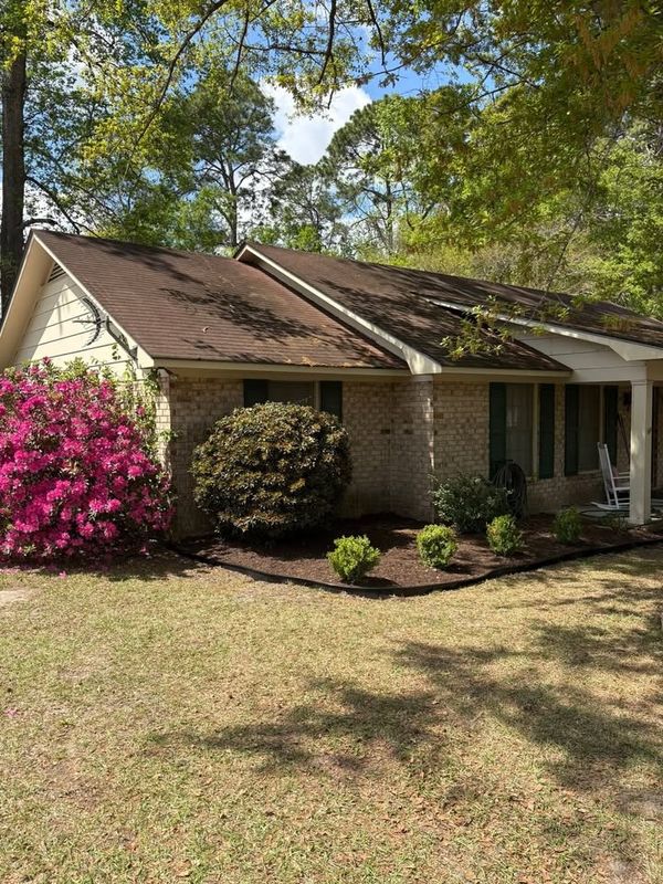 Tree & Shrub Care