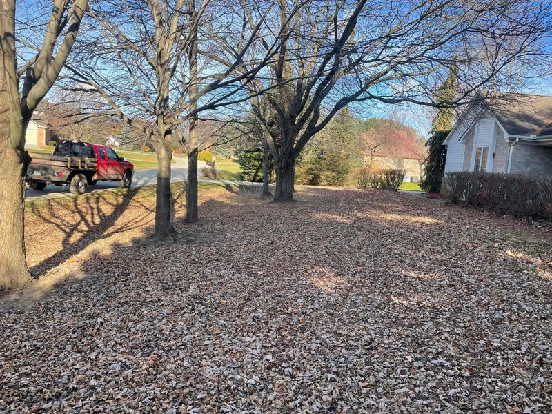 Landscaping