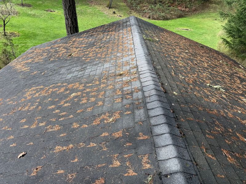 Gutter Cleaning gallery