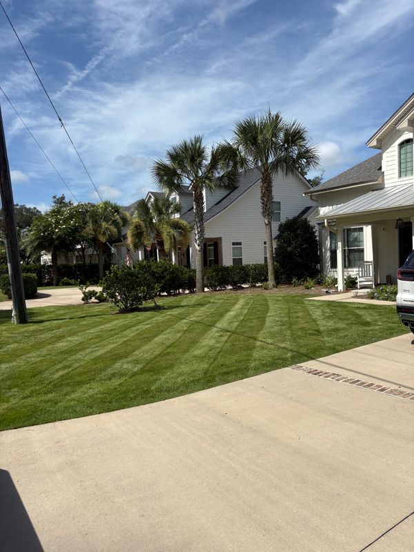 Lawn Maintenance