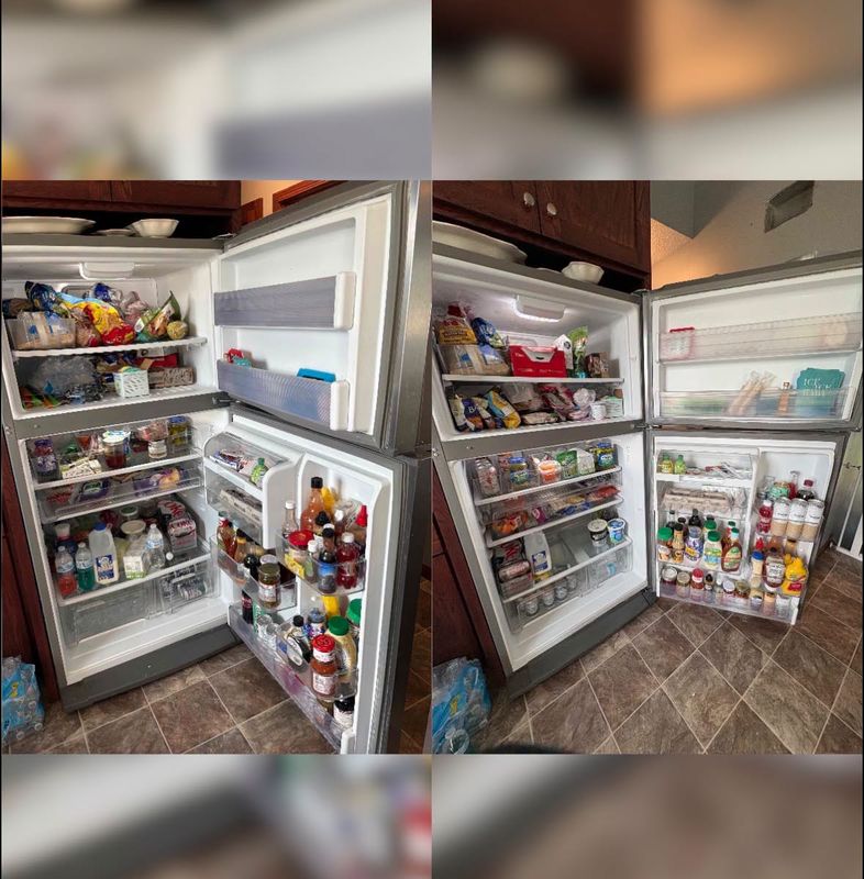 Organization