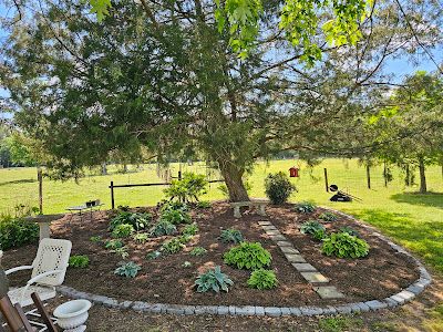 Landscaping 
