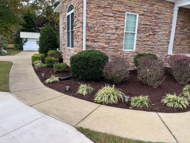Shrub Trimming