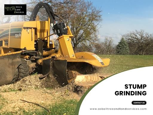 Stump Removal
