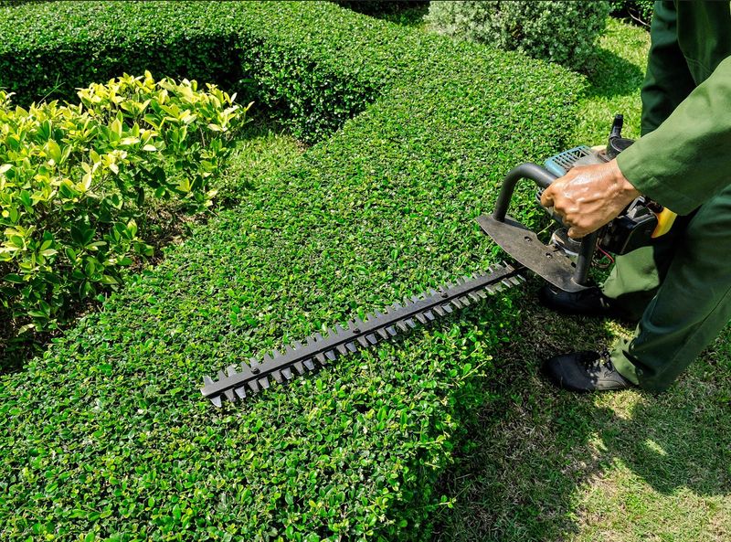 Shrub Trimming