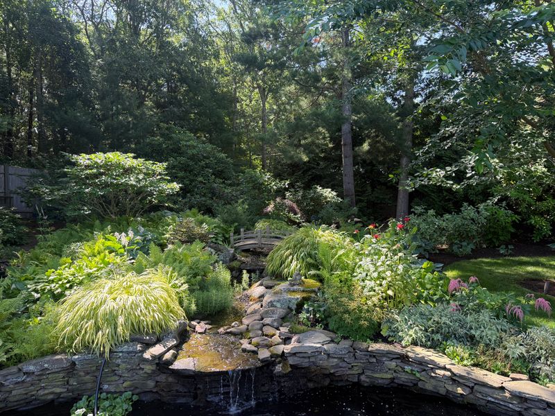 Landscape Design