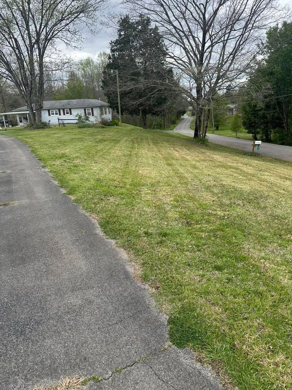Lawn Maintenance