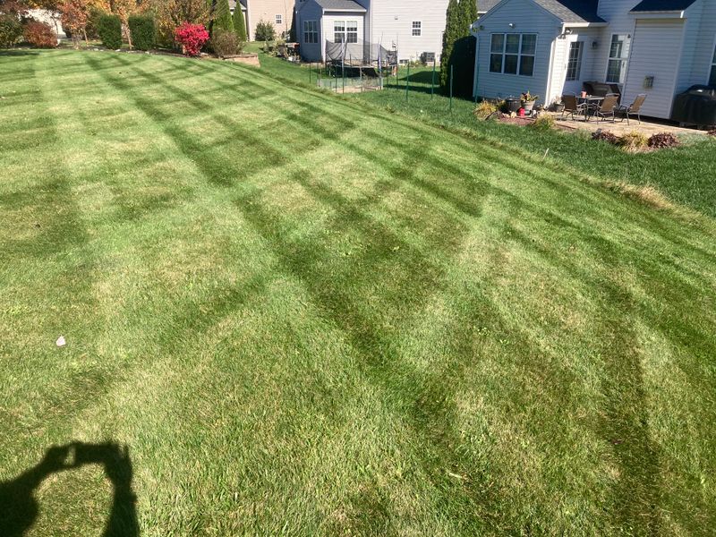Lawn Maintenance
