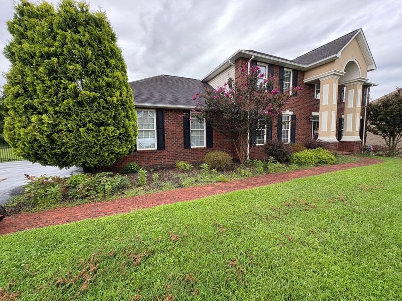 Shrub and Hedge Care