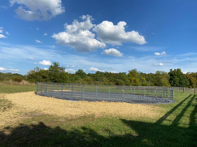 Cattle Panels
