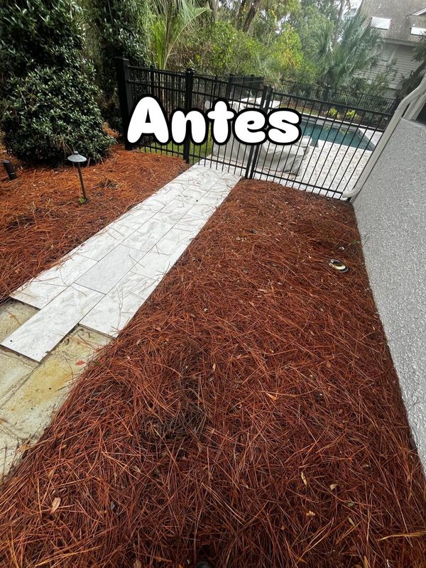 Residential Lawn Transformations