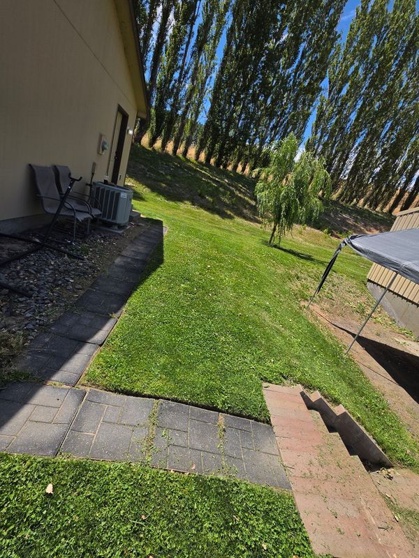 Lawn Mowing