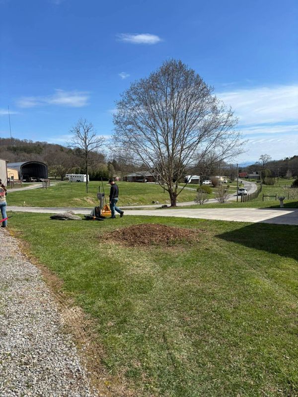 Stump Removal