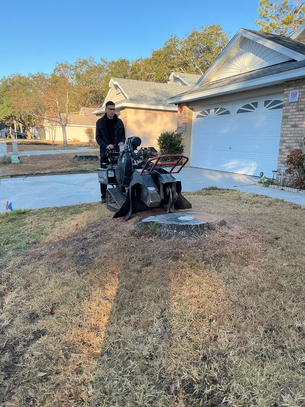 Land Clearing