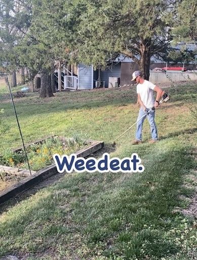 Lawn Mowing and Maintenance