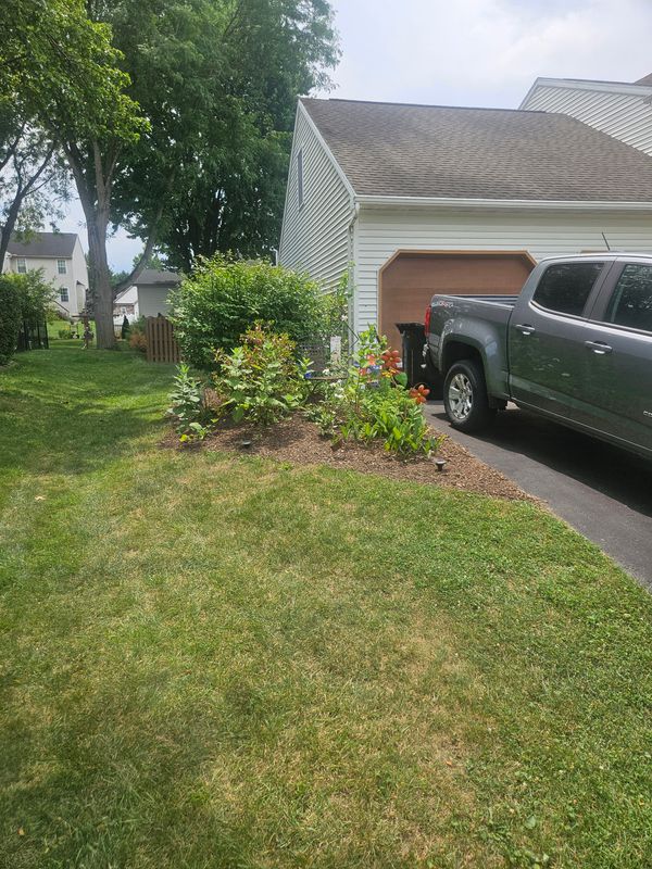 Lawn Maintenance