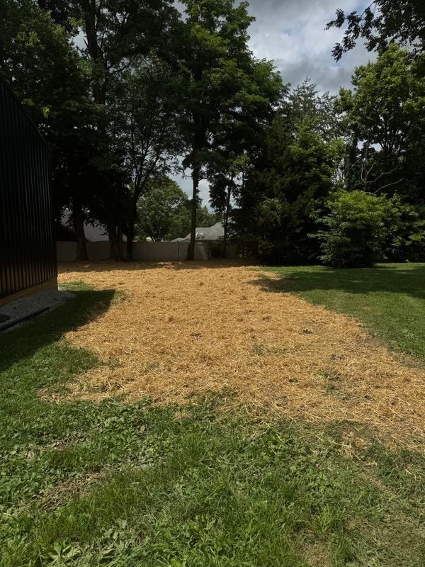 Sod and Seeding