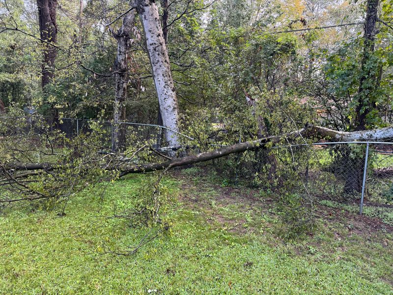 Emergency Storm Services