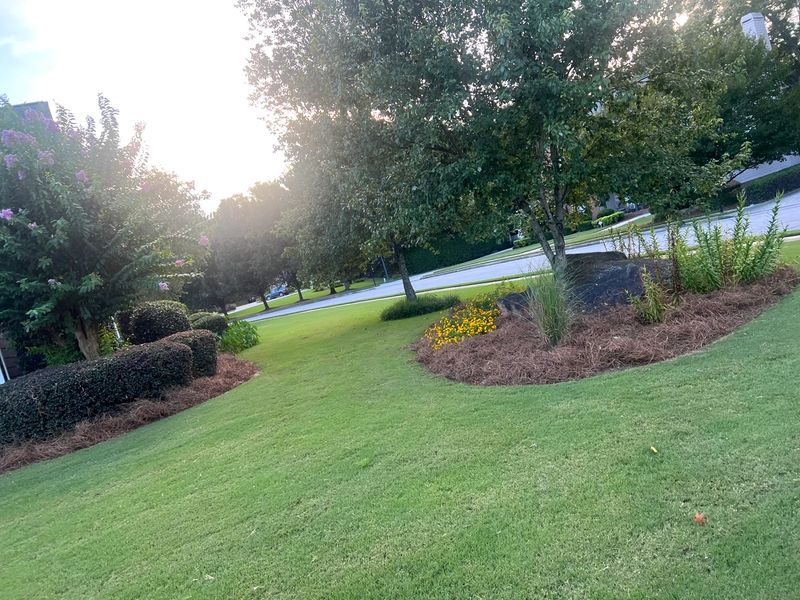 Lawn Maintenance gallery