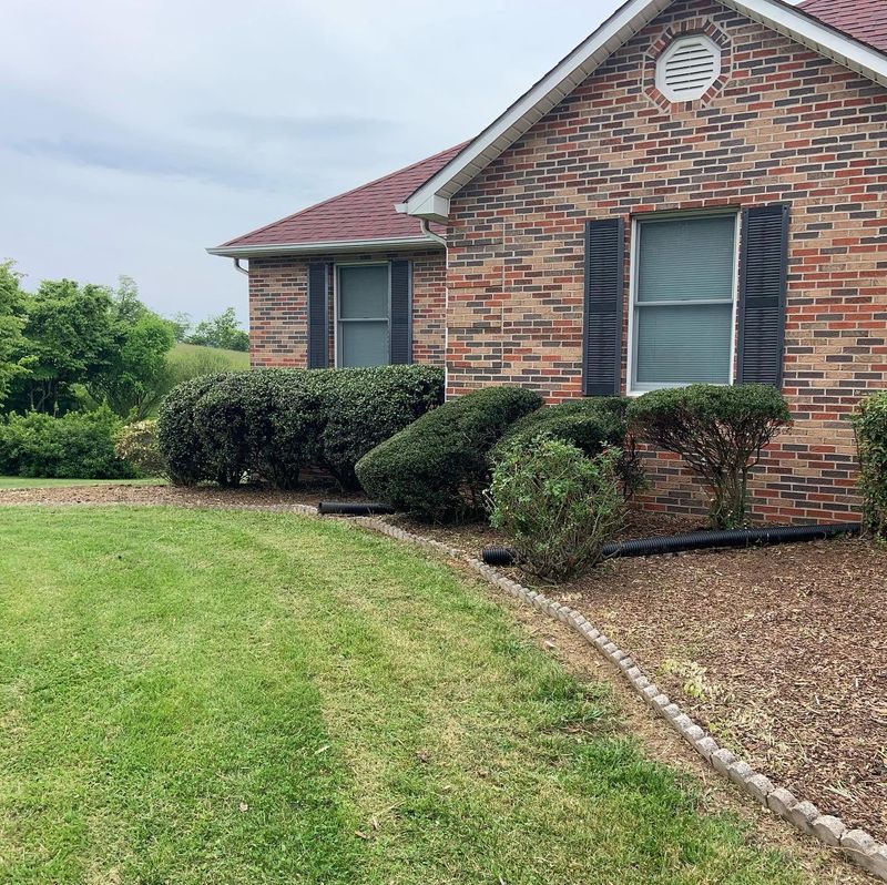 Tree & Shrub Care