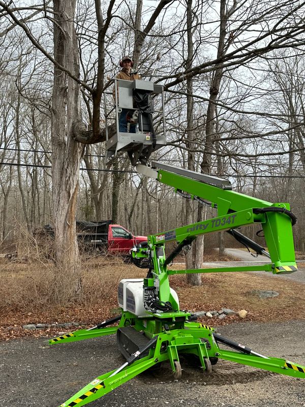 Brush & Tree Removal