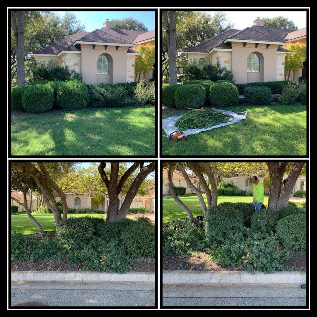 Lawn Care