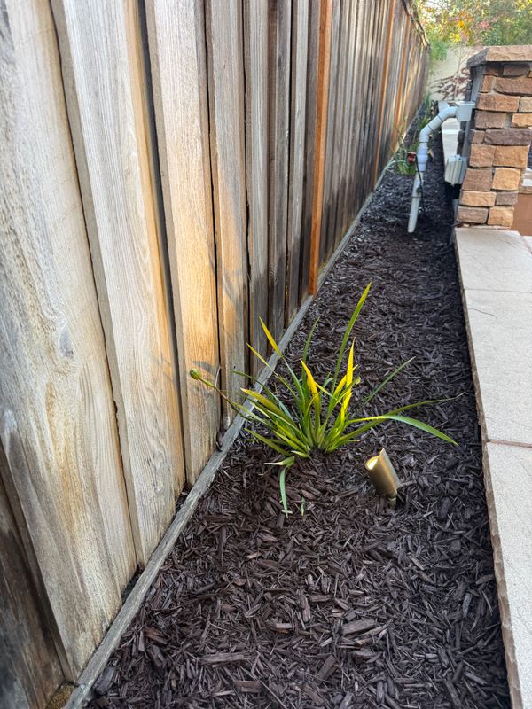 Landscaping