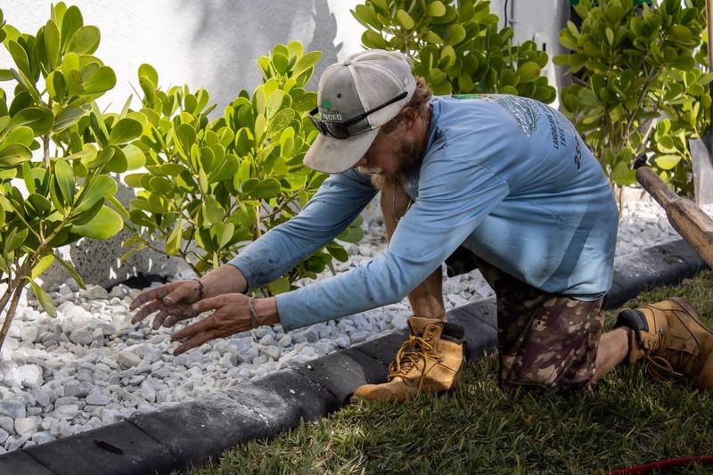 Landscape Design and Installation