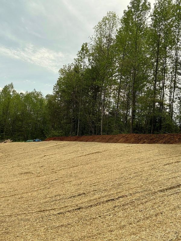 Land Clearing gallery