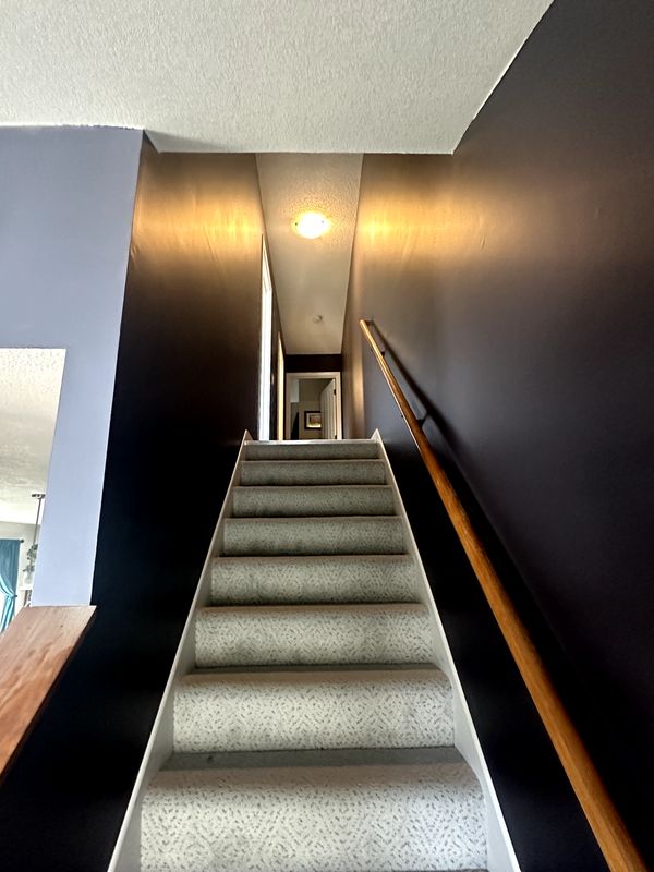 Interior Painting gallery