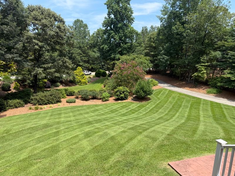 Full Service Lawn Maintenance