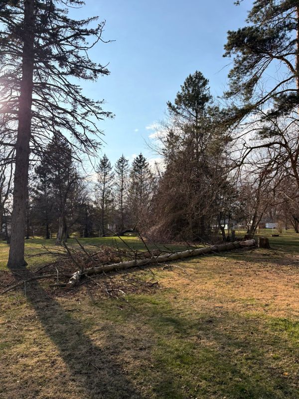 Emergency Storm Damage Cleanup