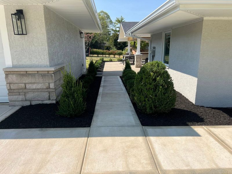 Deck and Patio Construction