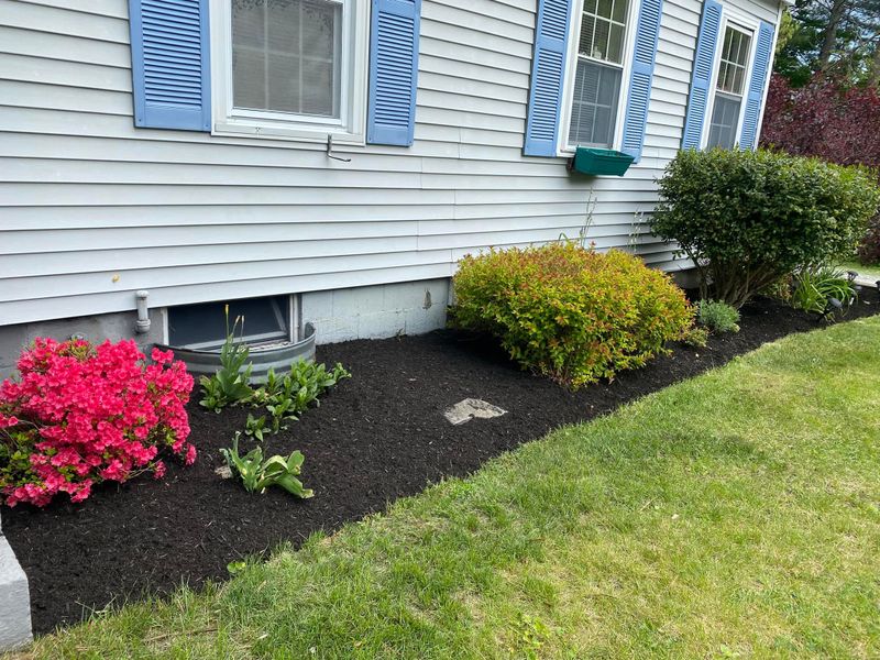 Landscaping