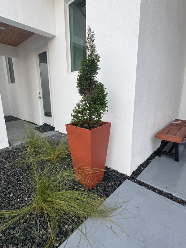 Mulch and rocks installation
