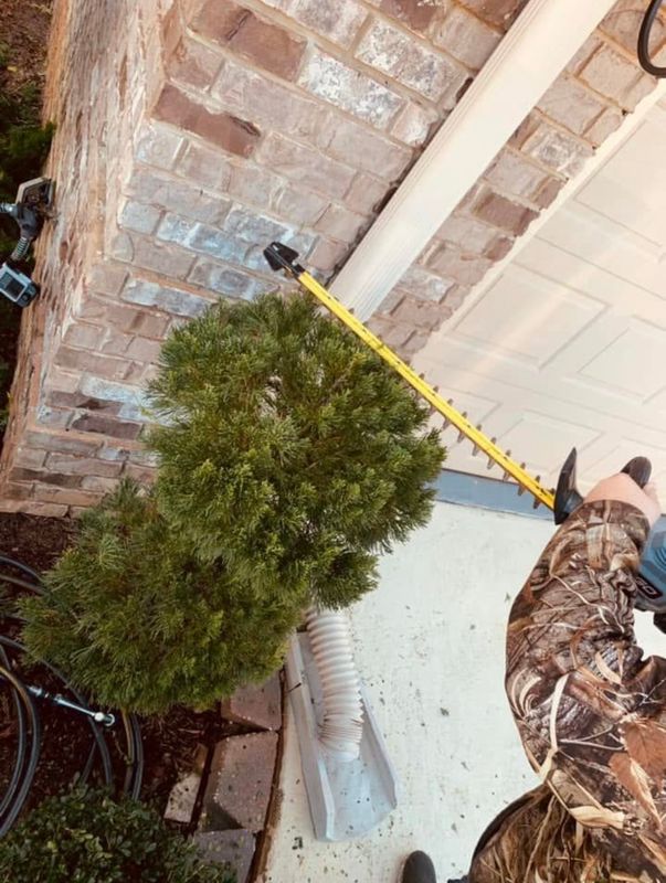 Shrub Care, Property Cleanup