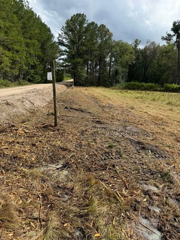 Land Clearing