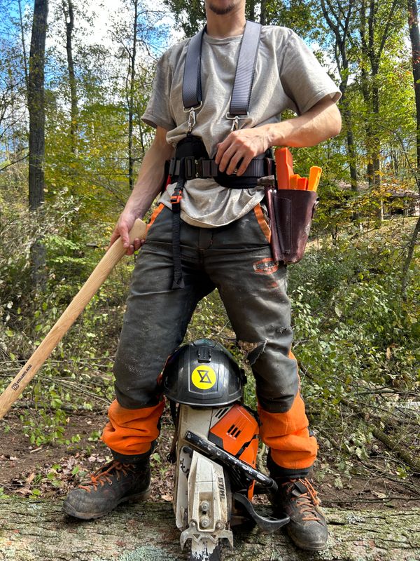 Tree Trimming