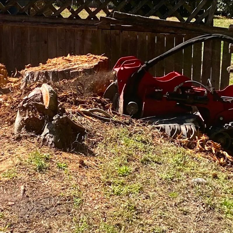 Stump Grinding