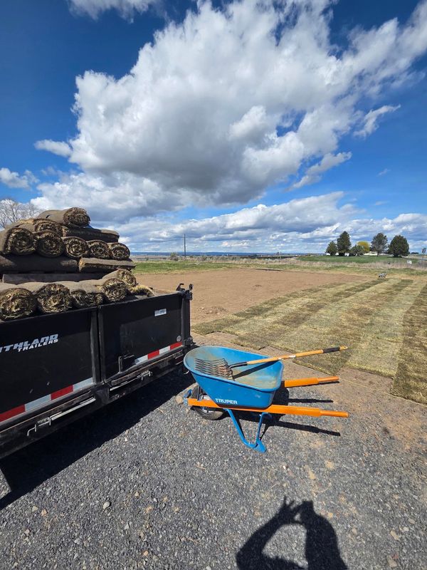 Sod Installation