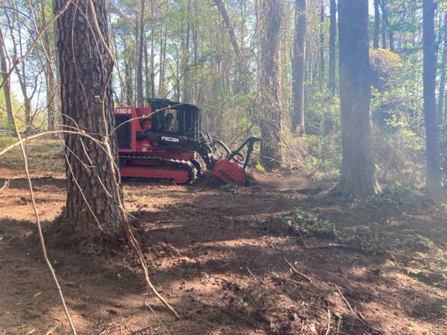 Land Clearing 