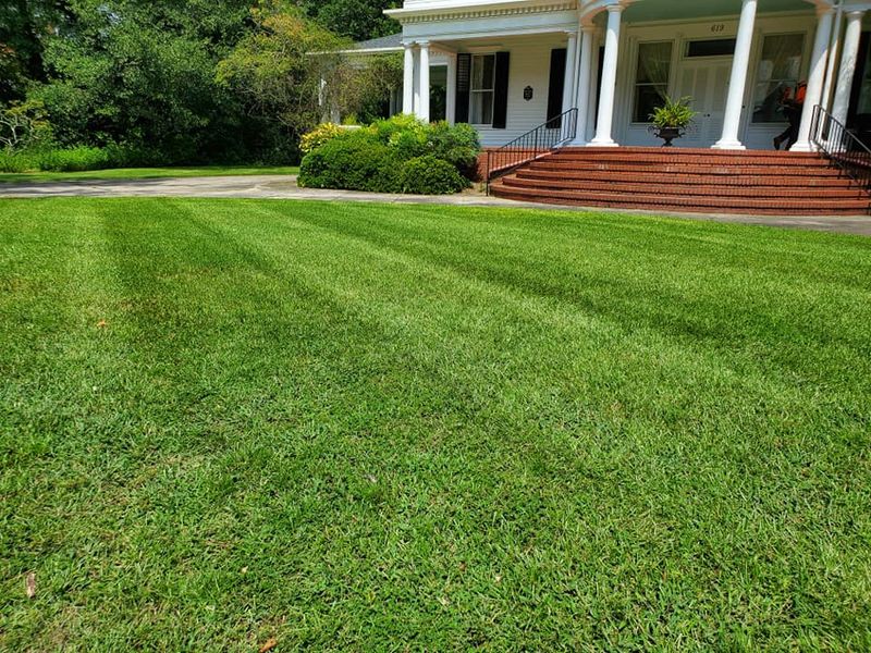 Landscaping